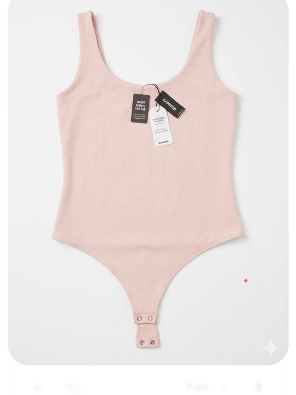 Express Blush Scoop Neck Bodysuit